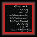 Shaheen mofti 03 * 30.05.2007 * 329 x 470 * (33KB)